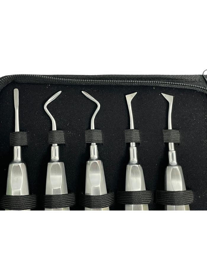 Set of dental tools with black handles and clear tips in a black case.