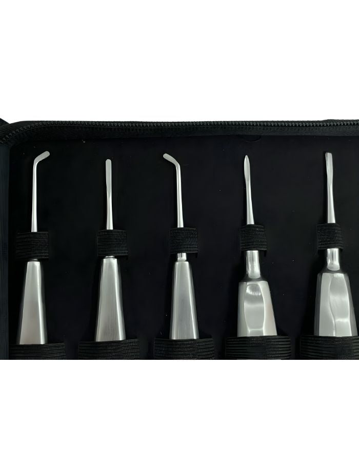 Set of five metal tools with curved ends in a black case on a white background