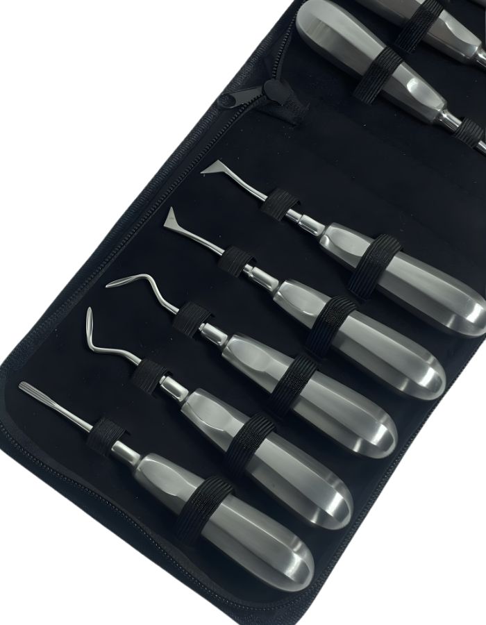 Set of dental tools in a black case on a white background