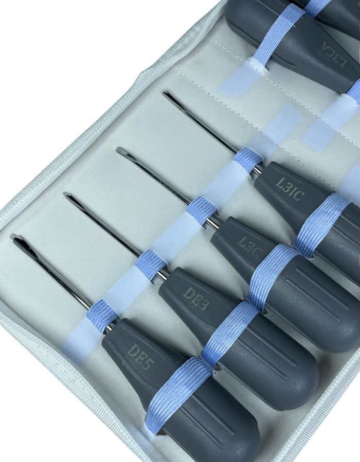 Set of screwdrivers with blue handles in a case