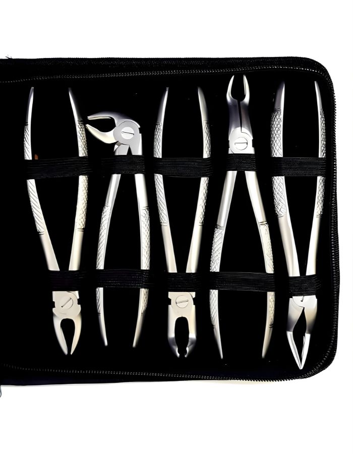 Set of dental tools in a black case on a white background